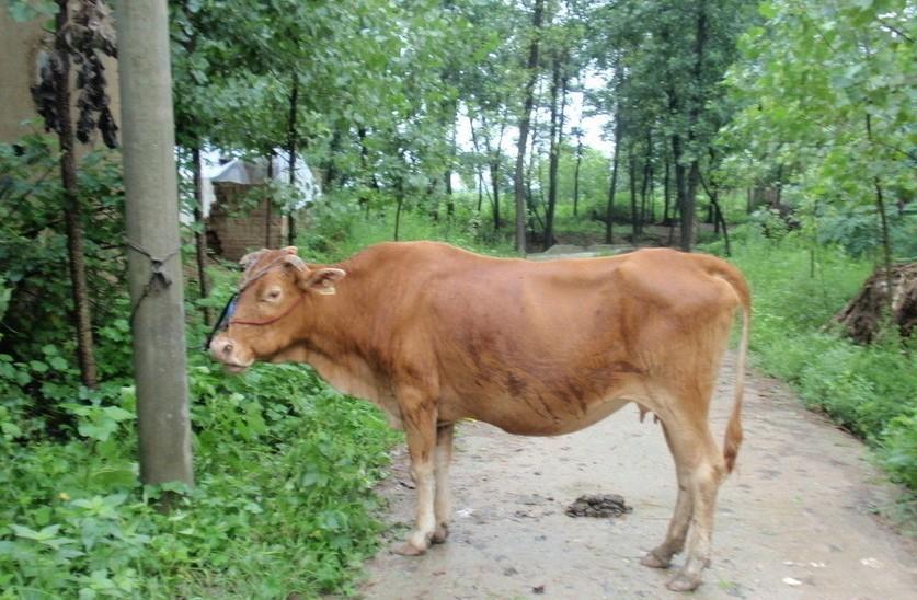 舟山最新求一个套医保卡的黄牛是真的吗方法分析(最方便真实的舟山求一个套医保卡的黄牛是真的吗还是假的方法)